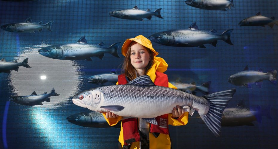 Taste the Atlantic Salmon Experience at Burren Smokehouse